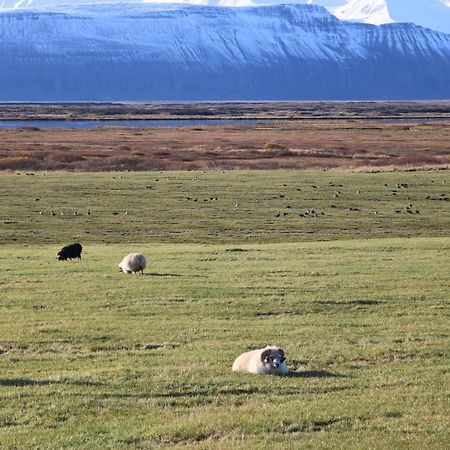 Laxhus Villa Húsavík Buitenkant foto