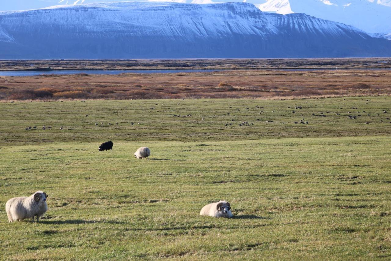 Laxhus Villa Húsavík Buitenkant foto